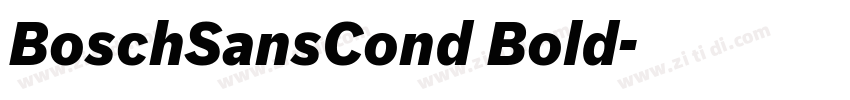 BoschSansCond Bold字体转换